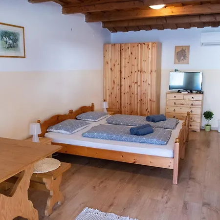 公寓 Borkuti Panzio Es Apartman